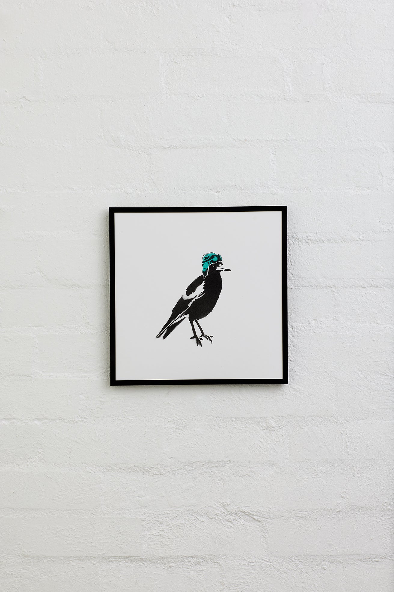 Dive Bomber - Cooped Up Series