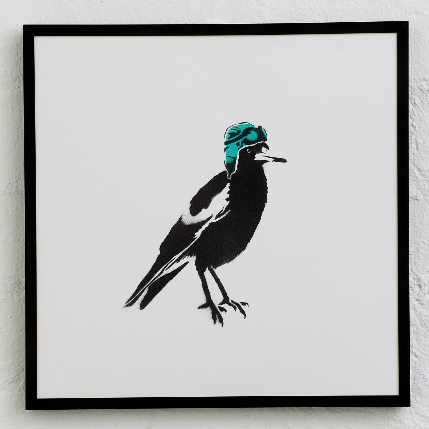 Dive Bomber - Cooped Up Series