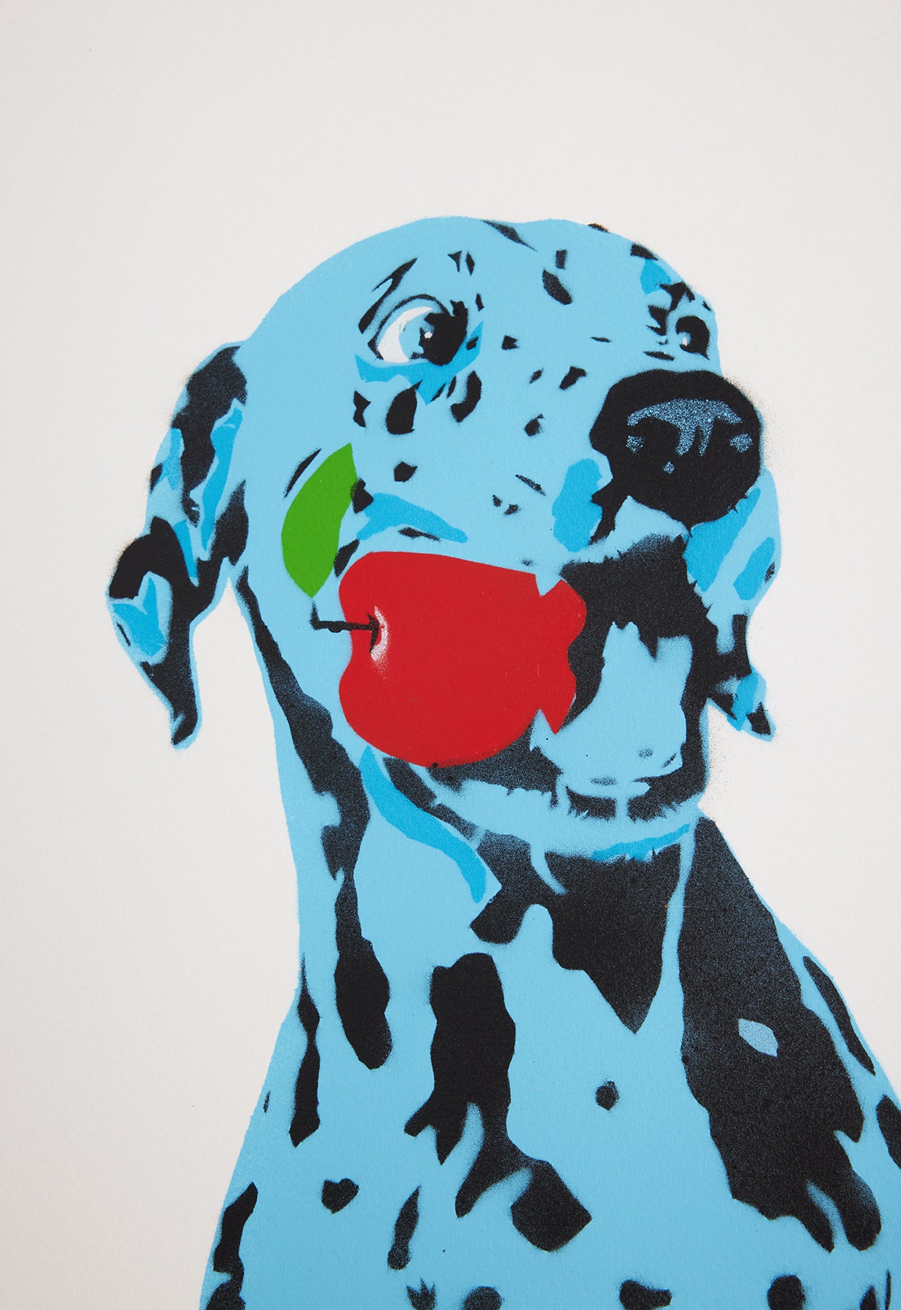 Now Hold Still - Blue and Ginger