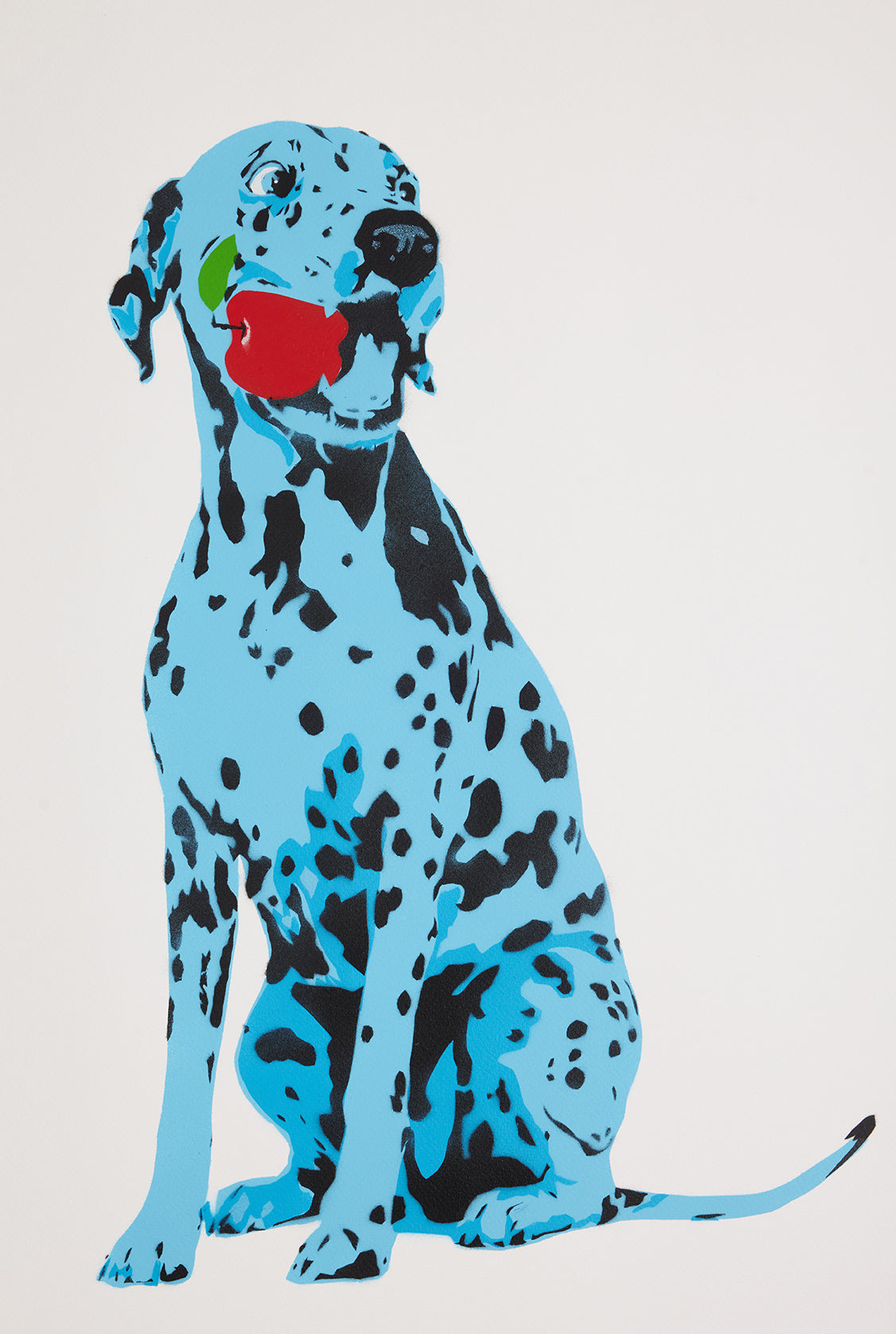 Now Hold Still - Blue and Ginger